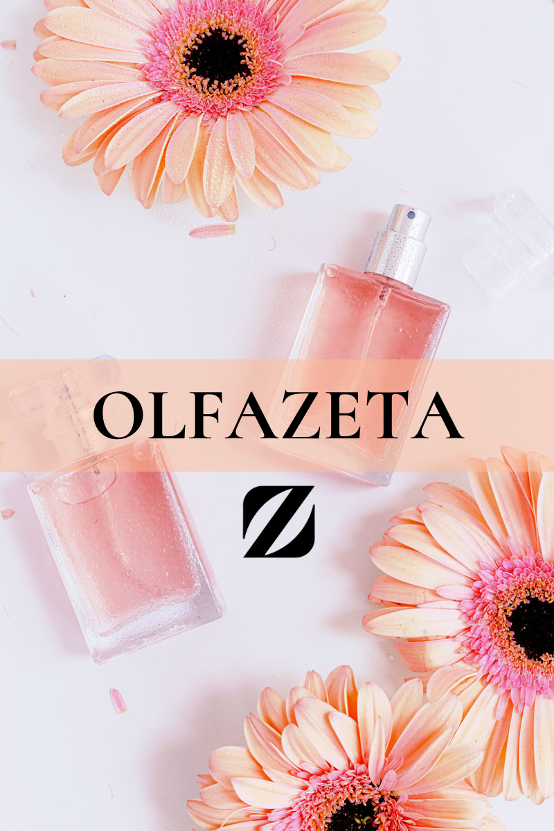 olfa site web marque