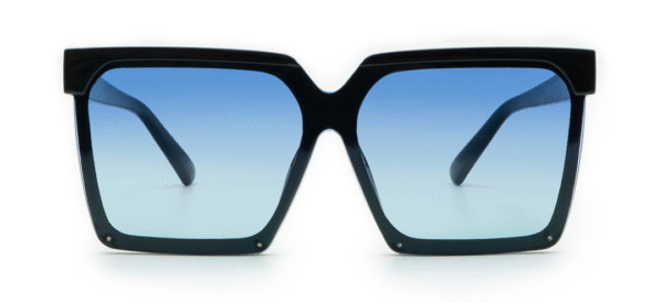 Lunettes De Soleil ‘sanremo’