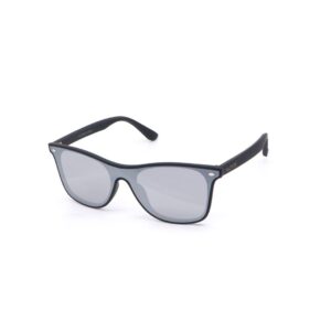 Lunettes De Soleil « Panther» Matte Silver